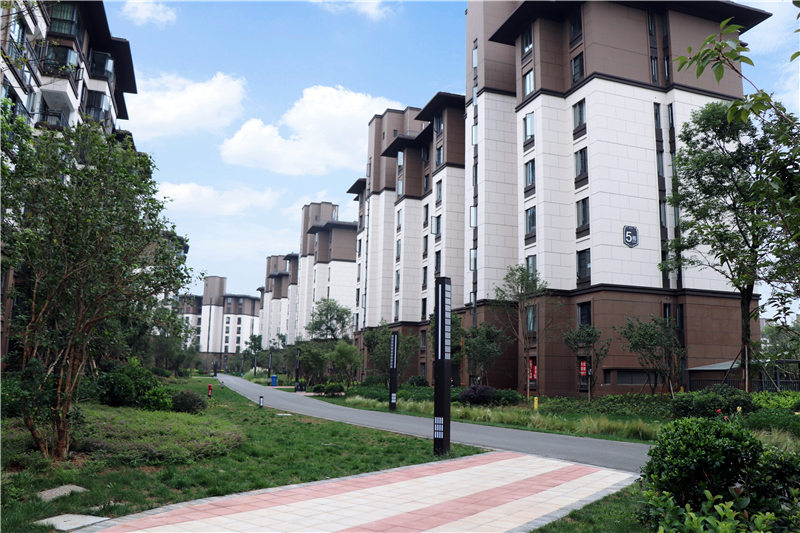 ��ԭ����35��Ƭ��ˢ��