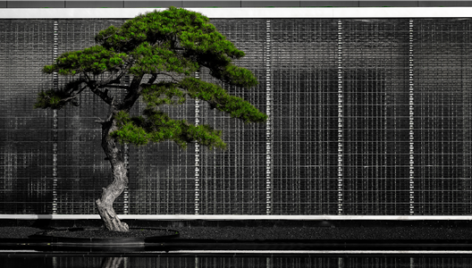 ��ԭ����̨�� | �ݺ��ߵ�����������ʲô����