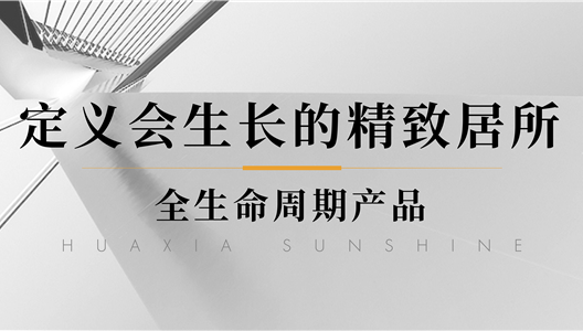 888�ڲ����������˵��������ϸ��Ԣ��