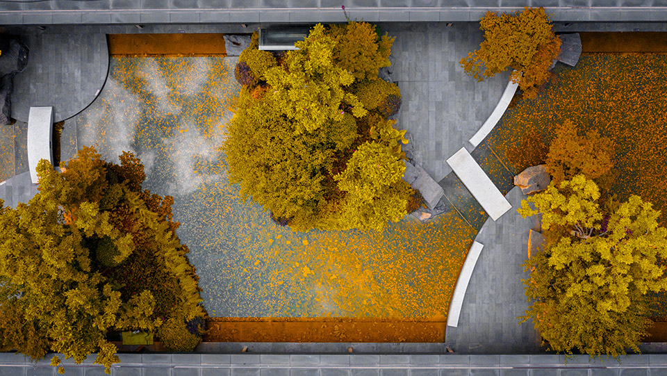 ��ԭ����������1