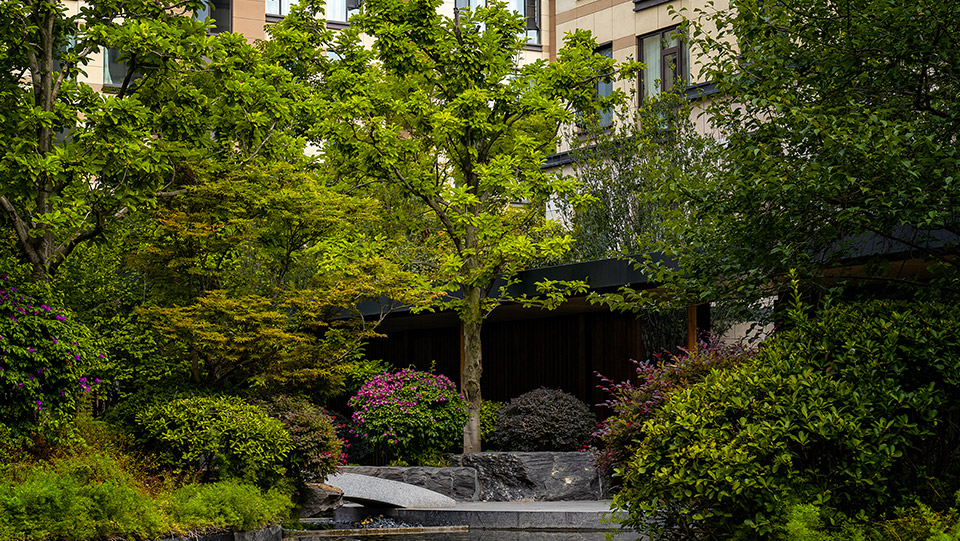 ��ԭ����������5