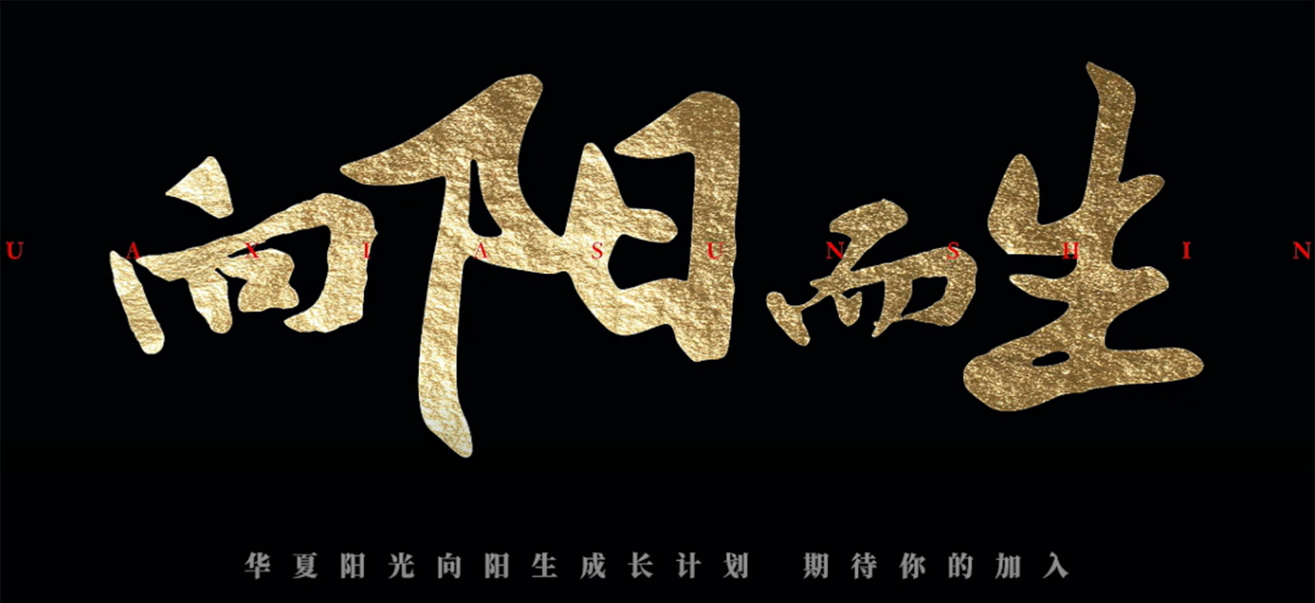 888�ڲ������-����Ϊ��,רҵ����