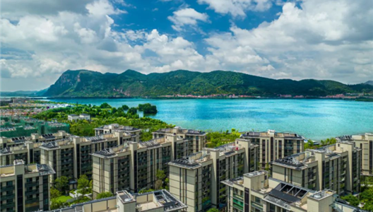 �������� | �ַ�ֵѡ�������������