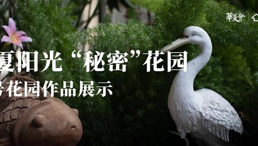 888�ڲ������ح���Ų�����Ʒ�����뻨��������ӵ