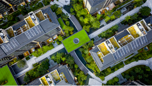 888�ڲ���������޽����� | ��԰��˳Ӧ��Ȼ���� һʯһľ�Խ���