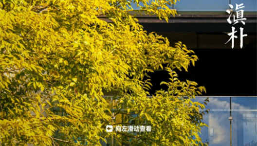 888�ڲ������ϸ������ָ�� | ��Ҷƪ NO003