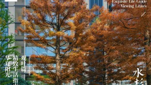 888�ڲ������ϸ������ָ�� | ��Ҷƪ NO005