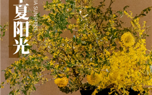 888�ڲ����������ӯ�����ճ�������һ������֮Լ