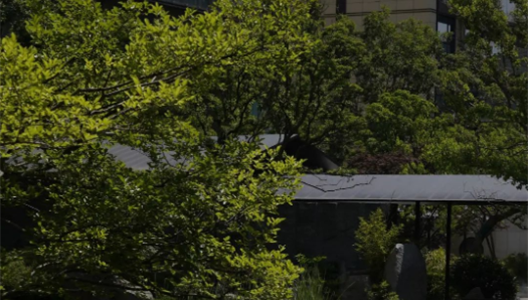 888�ڲ������ϸ������ָ�� | ������Ļ�԰