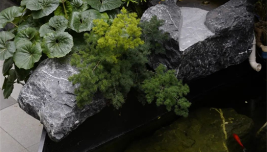 888�ڲ������حԺ�����100�����ķ�ʽ N001