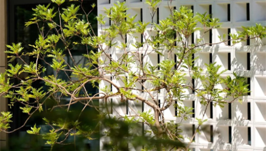 888�ڲ������حԺ�����100�����ķ�ʽ N004