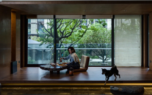 888�ڲ����������������ح����֮��������չ�����������������ȵ��������з���