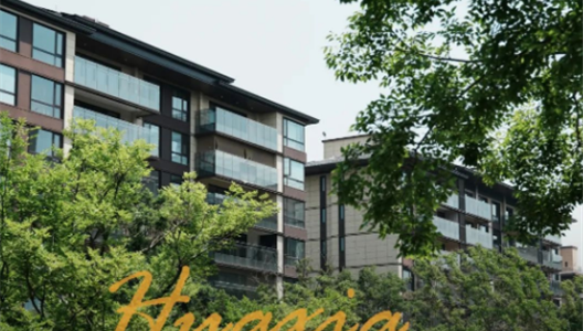 888�ڲ������ϸ������ָ�� | ���������޽�